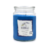 BIG JAR - BLUEBELLS- dišeča sveča