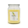 BIG JAR - PINEAPPLE - dišeča sveča